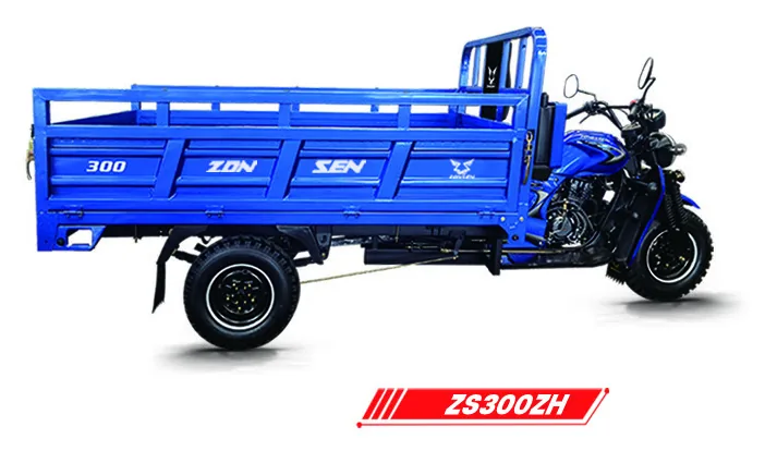 Gasoline Cargo Tricycles product photo 4