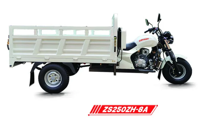 Gasoline Cargo Tricycles product photo 6